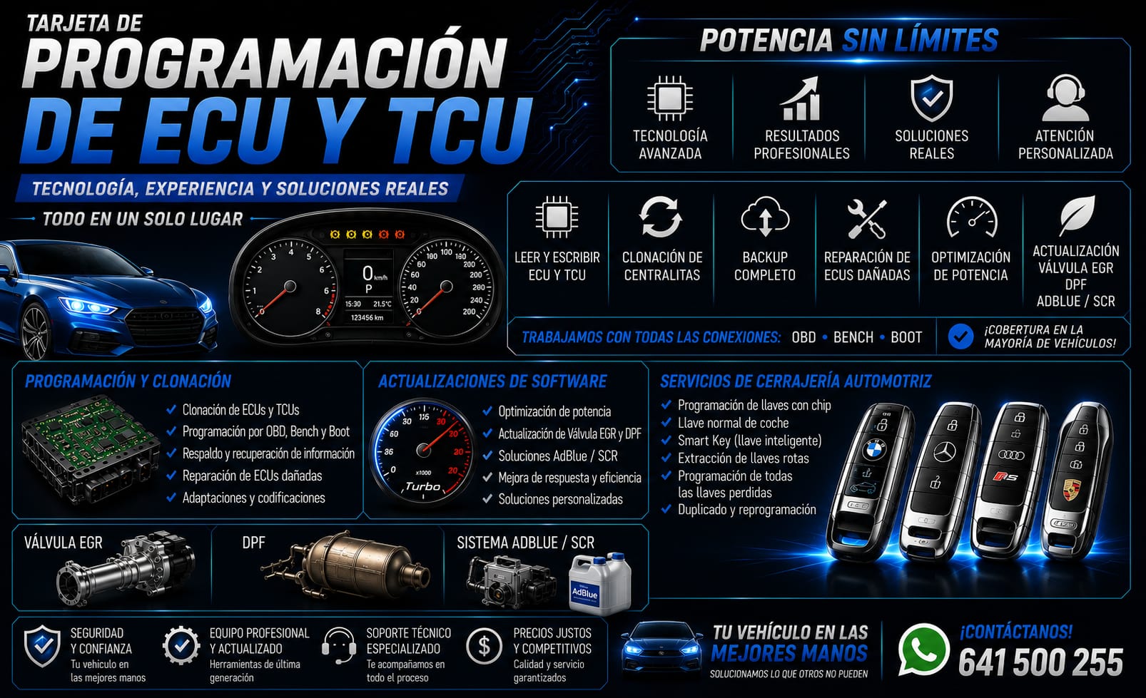 Servicios de programación de ECU y TCU, clonación, EGR, DPF, AdBlue y llaves